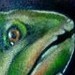Tattoos - Trout Tattoo - 49853